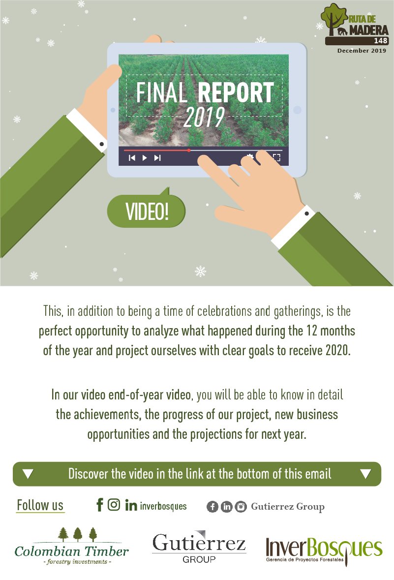 2019 Final Report