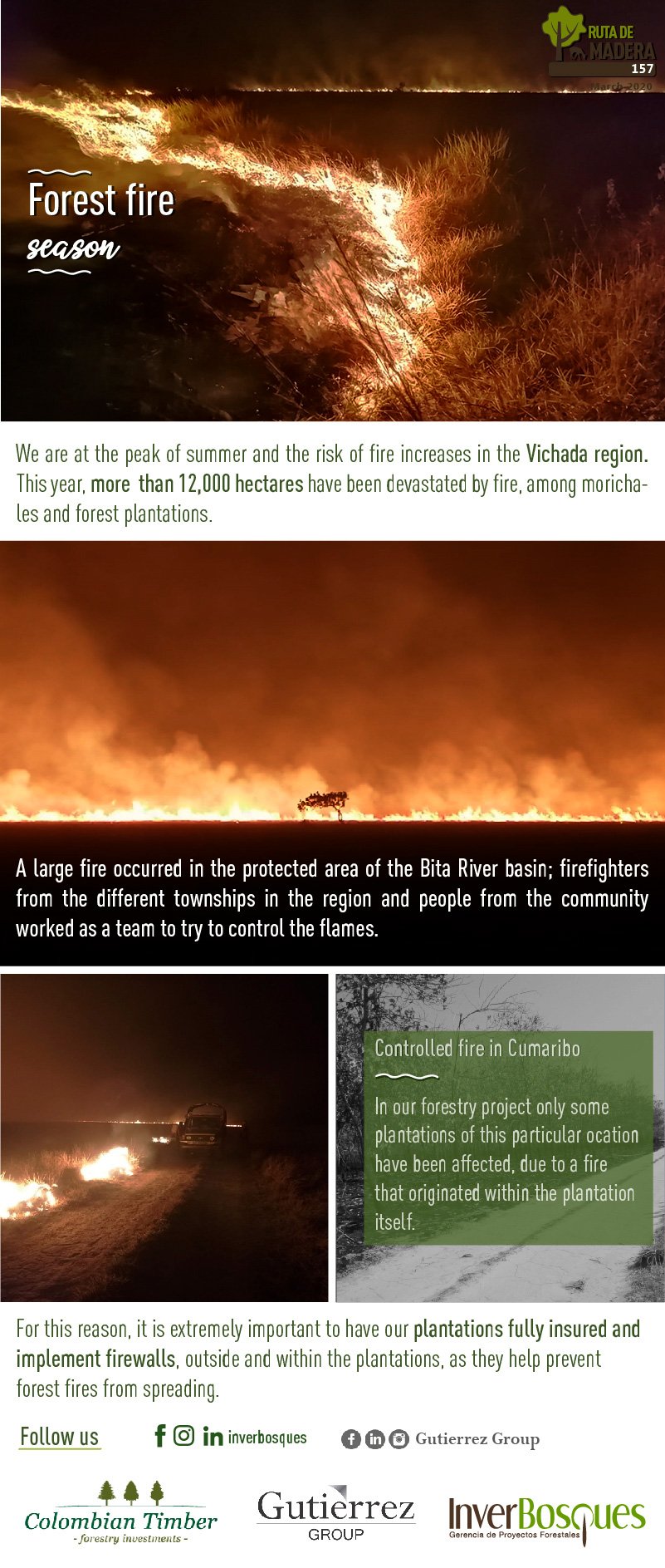 Forest Fire Season