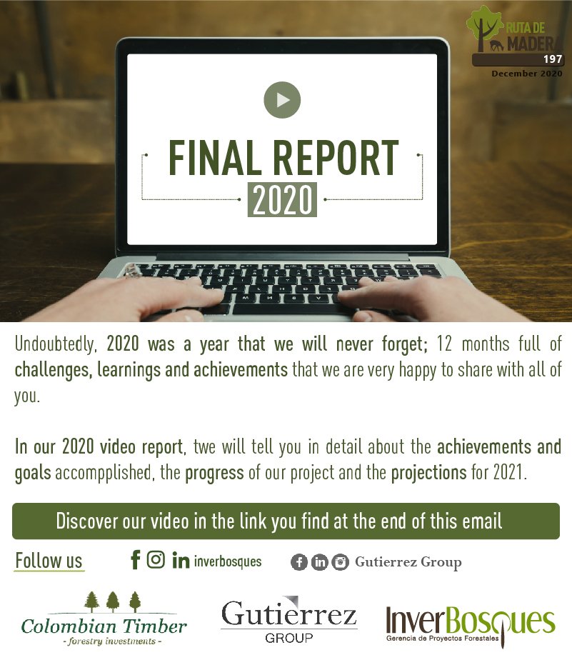 2020 Final Report | Colombian Timber