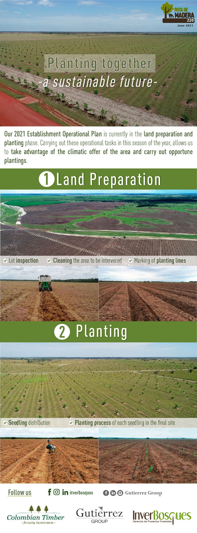 Planting together a sustainable future
